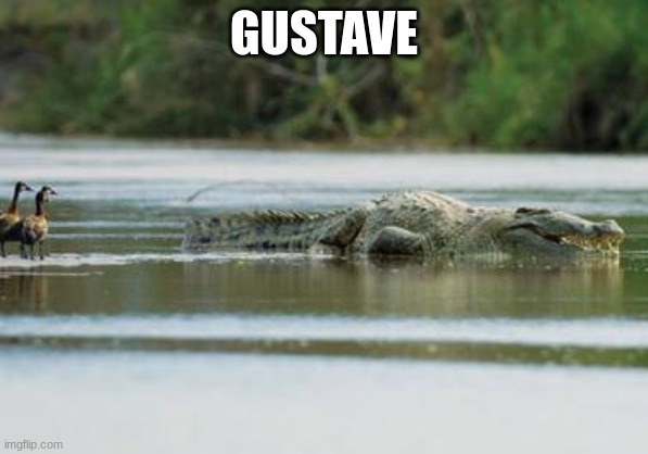 He killed 200 people | GUSTAVE | made w/ Imgflip meme maker