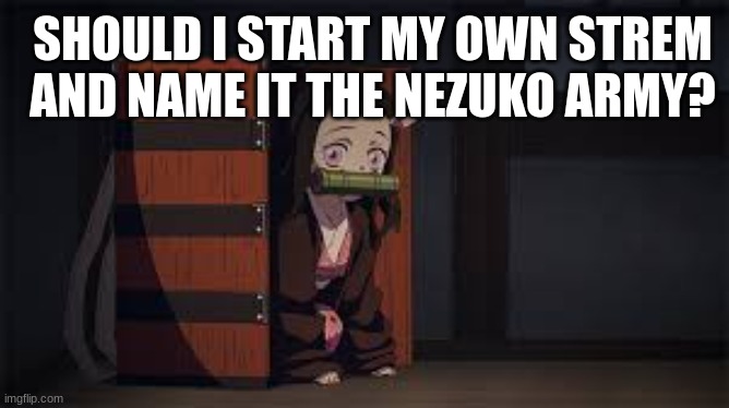i just wanna see what yall think if i should | SHOULD I START MY OWN STREM AND NAME IT THE NEZUKO ARMY? | image tagged in demon slayer nezuko,demon slayer | made w/ Imgflip meme maker