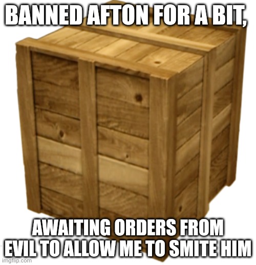 Awaiting orders, sir. | BANNED AFTON FOR A BIT, AWAITING ORDERS FROM EVIL TO ALLOW ME TO SMITE HIM | image tagged in dead rising crate | made w/ Imgflip meme maker