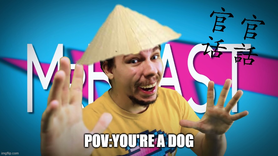 Fake MrBeast | POV:YOU'RE A DOG | image tagged in fake mrbeast | made w/ Imgflip meme maker