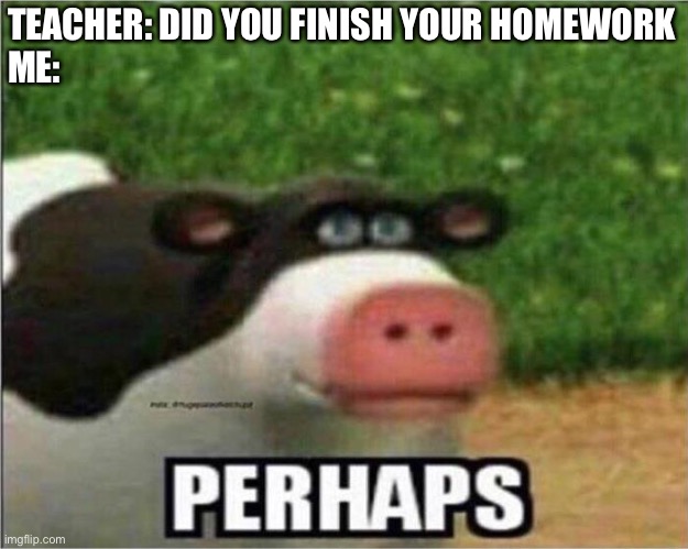 Homework | TEACHER: DID YOU FINISH YOUR HOMEWORK
ME: | image tagged in perhaps cow | made w/ Imgflip meme maker