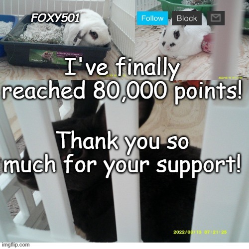 Foxy501 announcement template | I've finally reached 80,000 points! Thank you so much for your support! | image tagged in foxy501 announcement template | made w/ Imgflip meme maker