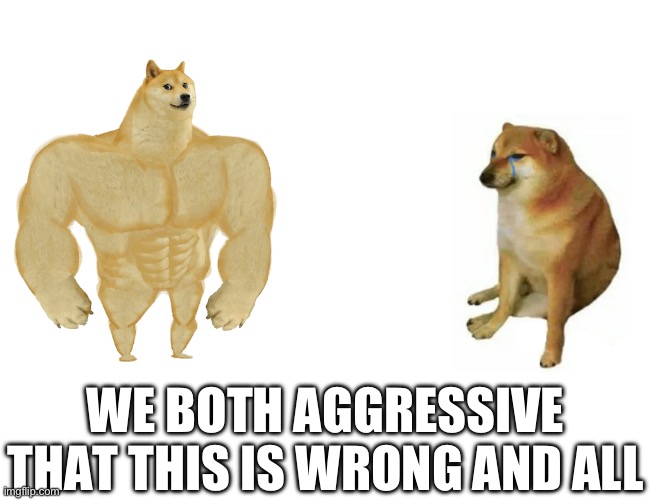 Buff Doge vs. Cheems Meme | WE BOTH AGGRESSIVE THAT THIS IS WRONG AND ALL | image tagged in memes,buff doge vs cheems | made w/ Imgflip meme maker