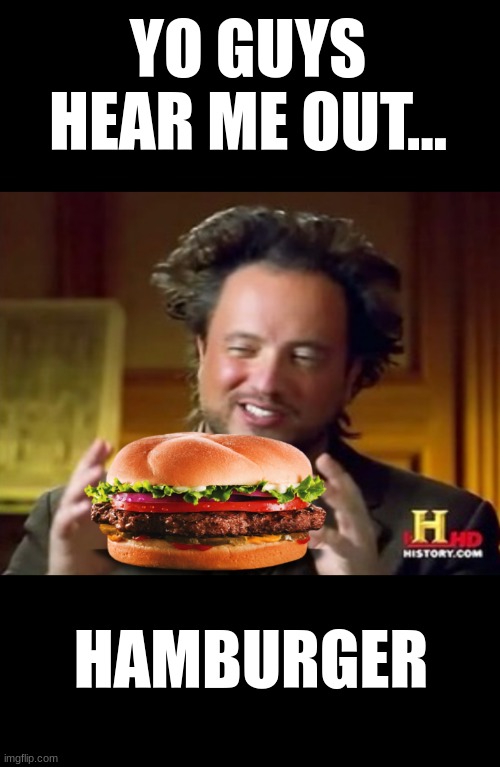 Hamburger | YO GUYS HEAR ME OUT... HAMBURGER | image tagged in mr history hamburger,memes,funny,hamburger,food,i never know what to put for tags | made w/ Imgflip meme maker