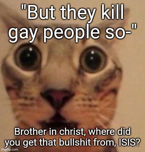 Like bro, i get that in other countries they stone them but what the fu | "But they kill gay people so-"; Brother in christ, where did you get that bullshit from, ISIS? | image tagged in shocked cat | made w/ Imgflip meme maker