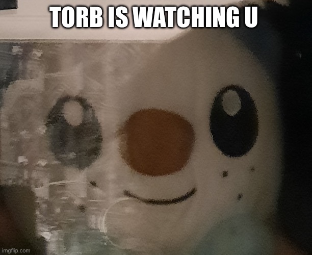 I am watching u | TORB IS WATCHING U | image tagged in i see what you're doing | made w/ Imgflip meme maker