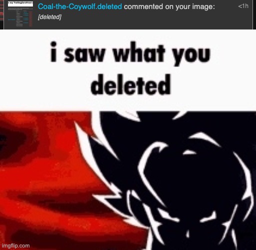image tagged in i saw what you deleted | made w/ Imgflip meme maker