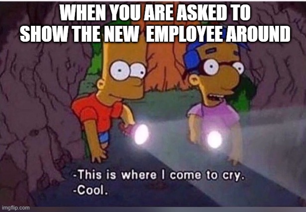 Work | WHEN YOU ARE ASKED TO SHOW THE NEW  EMPLOYEE AROUND | image tagged in meme,sad,the simpsons,fun,funny | made w/ Imgflip meme maker