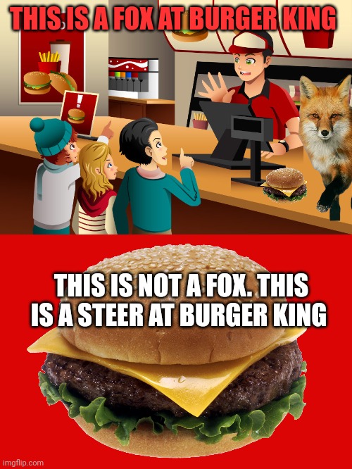 Important burger king facts | THIS IS A FOX AT BURGER KING; THIS IS NOT A FOX. THIS IS A STEER AT BURGER KING | image tagged in fast food worker,cheese burger,burger king,fox,facts | made w/ Imgflip meme maker