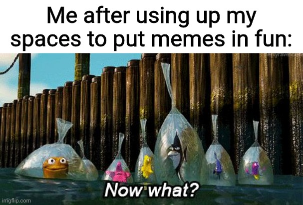 Well...I could double it? | Me after using up my spaces to put memes in fun: | image tagged in now what,memes,relatable | made w/ Imgflip meme maker