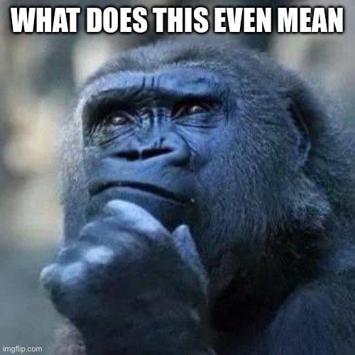 Thinking ape | WHAT DOES THIS EVEN MEAN | image tagged in thinking ape | made w/ Imgflip meme maker
