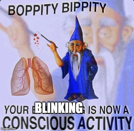 Your breathing is now a conscious activity | BLINKING | image tagged in your breathing is now a conscious activity | made w/ Imgflip meme maker