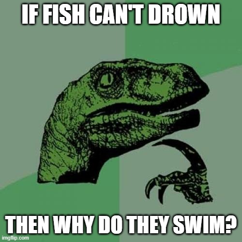 FISH CAN ONLY DROWN IN AIR | IF FISH CAN'T DROWN; THEN WHY DO THEY SWIM? | image tagged in memes,philosoraptor | made w/ Imgflip meme maker