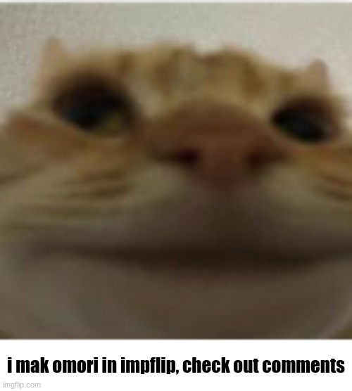 silly omori | i mak omori in impflip, check out comments | image tagged in front-facing camera cat,omori,pog | made w/ Imgflip meme maker