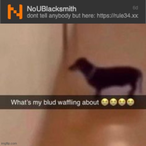 image tagged in what's my blud waffling about | made w/ Imgflip meme maker