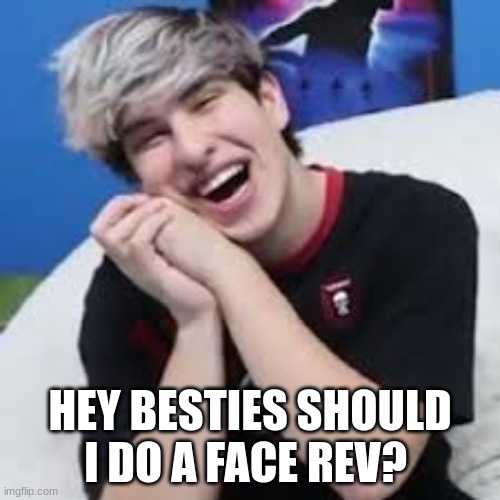 idek im just bored | HEY BESTIES SHOULD I DO A FACE REV? | image tagged in memes,help | made w/ Imgflip meme maker