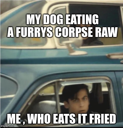 Different Species, Same Brain | MY DOG EATING A FURRYS CORPSE RAW; ME , WHO EATS IT FRIED | image tagged in cars passing each other,anti furry,dogs | made w/ Imgflip meme maker