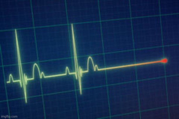 flat line ,electrocardiogram | image tagged in flat line electrocardiogram | made w/ Imgflip meme maker
