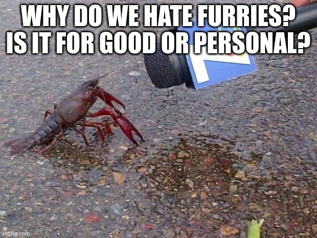 just asking, I know why i hate them personally but is there a big reason to hate them? | WHY DO WE HATE FURRIES? IS IT FOR GOOD OR PERSONAL? | image tagged in crawfish interview | made w/ Imgflip meme maker