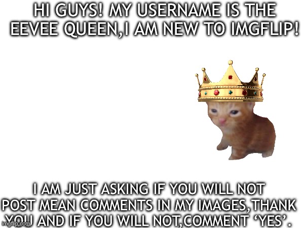 Pls be nice guys | HI GUYS! MY USERNAME IS THE EEVEE QUEEN,I AM NEW TO IMGFLIP! I AM JUST ASKING IF YOU WILL NOT POST MEAN COMMENTS IN MY IMAGES,THANK YOU AND IF YOU WILL NOT,COMMENT ‘YES’. | image tagged in blank white template | made w/ Imgflip meme maker