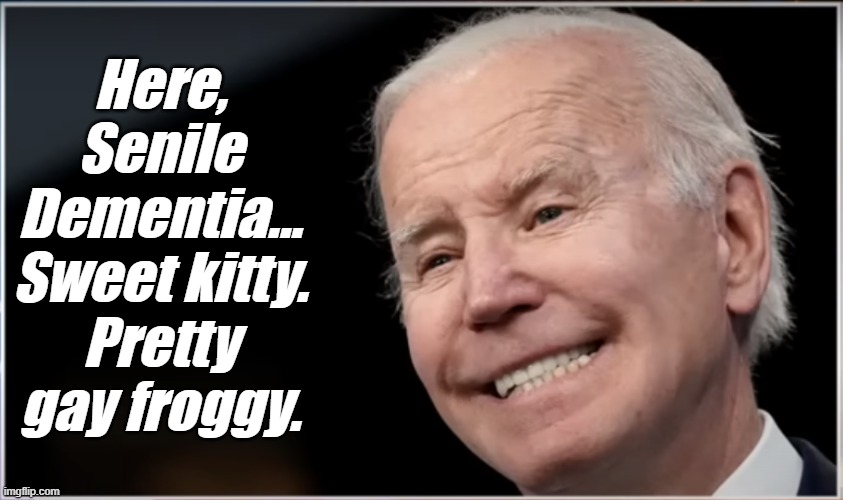 joe biden - Geezer, Goon, Groper | Here, Senile Dementia... Sweet kitty. Pretty gay froggy. | image tagged in joe biden - geezer goon groper | made w/ Imgflip meme maker