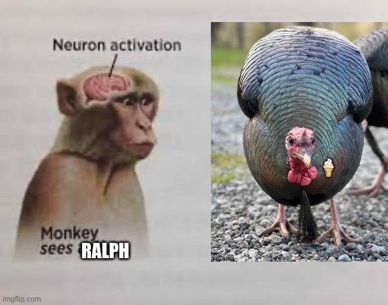 All hail almighty Ralph! | RALPH | image tagged in neuron activation | made w/ Imgflip meme maker