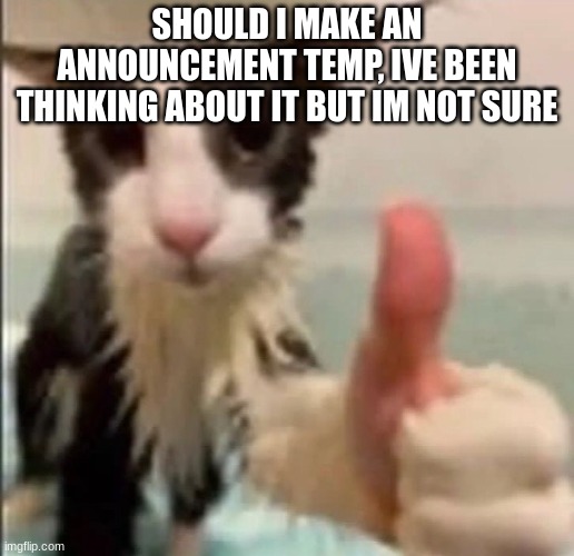 epic | SHOULD I MAKE AN ANNOUNCEMENT TEMP, IVE BEEN THINKING ABOUT IT BUT IM NOT SURE | image tagged in cat thumbs up | made w/ Imgflip meme maker