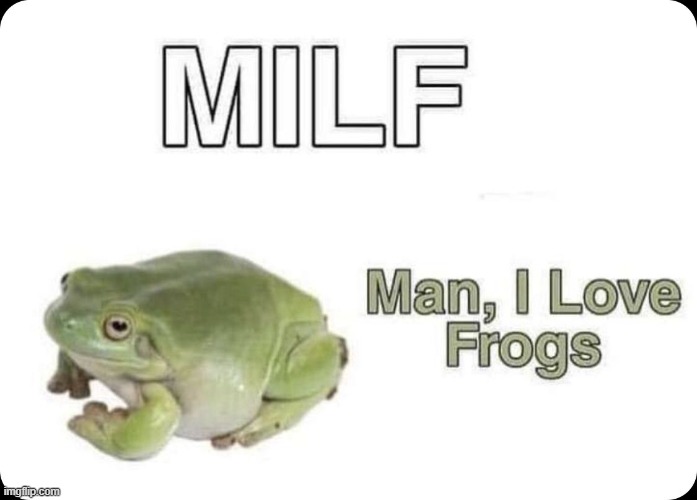 image tagged in frogs,memes,funny | made w/ Imgflip meme maker
