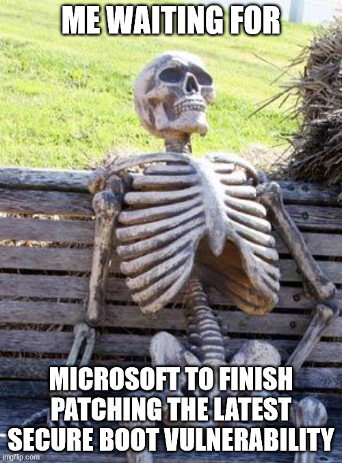 What are the chances hackers will take the year off? | ME WAITING FOR; MICROSOFT TO FINISH PATCHING THE LATEST SECURE BOOT VULNERABILITY | image tagged in memes,waiting skeleton | made w/ Imgflip meme maker