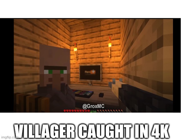 villager grox hmmmmmm | VILLAGER CAUGHT IN 4K | image tagged in pornhub,villager,groxmc | made w/ Imgflip meme maker