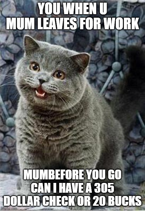 I can has cheezburger cat | YOU WHEN U MUM LEAVES FOR WORK; MUMBEFORE YOU GO CAN I HAVE A 305 DOLLAR CHECK OR 20 BUCKS | image tagged in i can has cheezburger cat | made w/ Imgflip meme maker