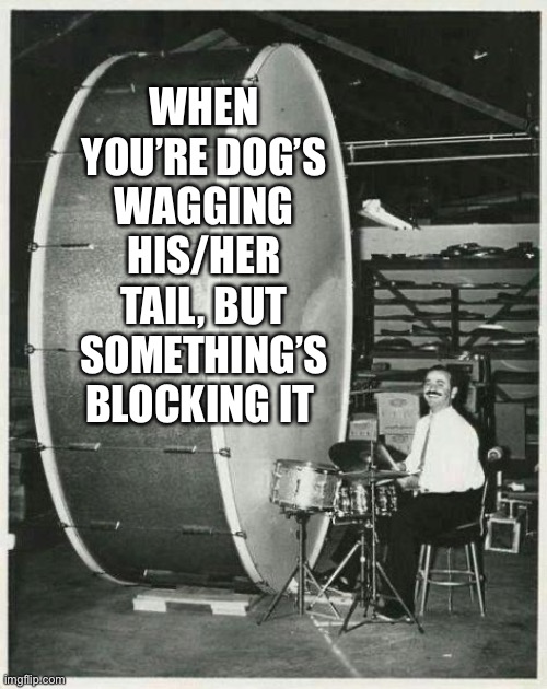 thwapthwapthwapthwapthwapthwapthwapthwapthwap | WHEN YOU’RE DOG’S WAGGING HIS/HER TAIL, BUT SOMETHING’S BLOCKING IT | image tagged in memes,big ego man,doggie | made w/ Imgflip meme maker