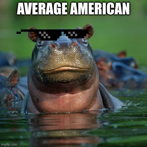 AVERAGE AMERICAN | made w/ Imgflip meme maker