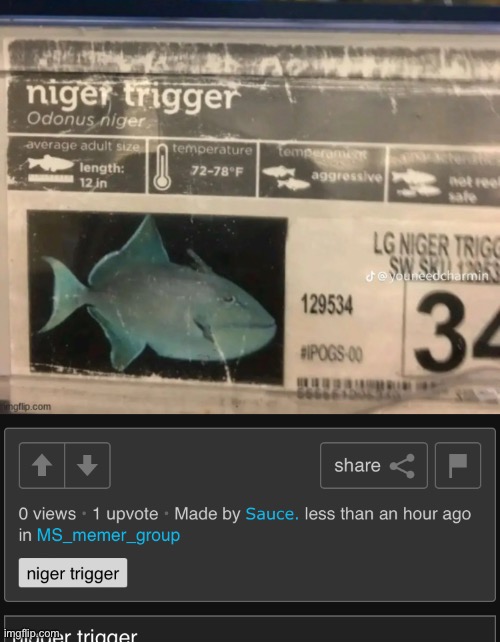 n wodr | made w/ Imgflip meme maker