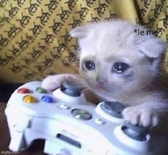 Sad Gaming Kitten | image tagged in sad gaming kitten | made w/ Imgflip meme maker