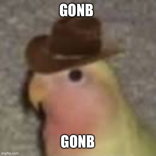 Gonb is my rival | GONB; GONB | image tagged in gonb | made w/ Imgflip meme maker