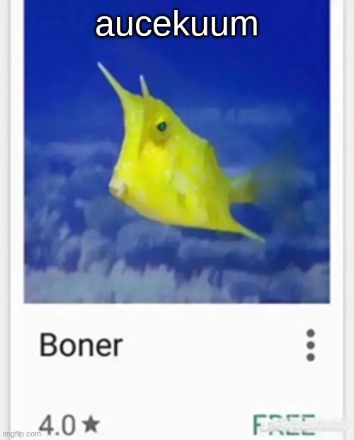 Boner | aucekuum | image tagged in boner | made w/ Imgflip meme maker