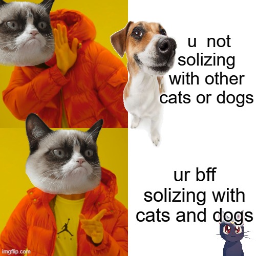 Drake Hotline Bling Meme | u  not solizing with other cats or dogs; ur bff solizing with cats and dogs | image tagged in memes,drake hotline bling | made w/ Imgflip meme maker