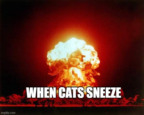 Nuclear Explosion Meme | WHEN CATS SNEEZE | image tagged in memes,nuclear explosion | made w/ Imgflip meme maker