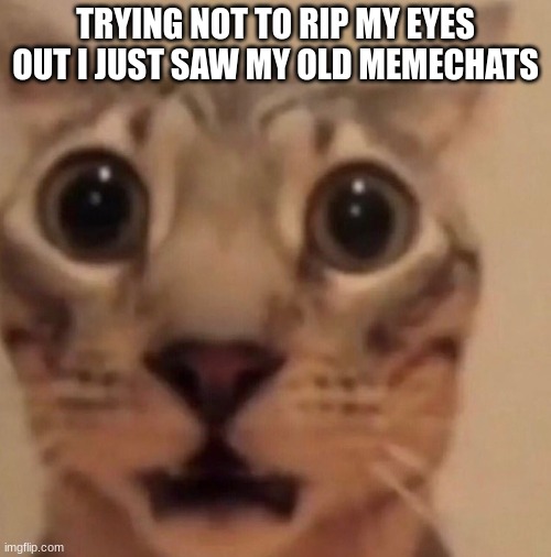 NOT EPIC AT ALL | TRYING NOT TO RIP MY EYES OUT I JUST SAW MY OLD MEMECHATS | image tagged in flabbergasted cat | made w/ Imgflip meme maker
