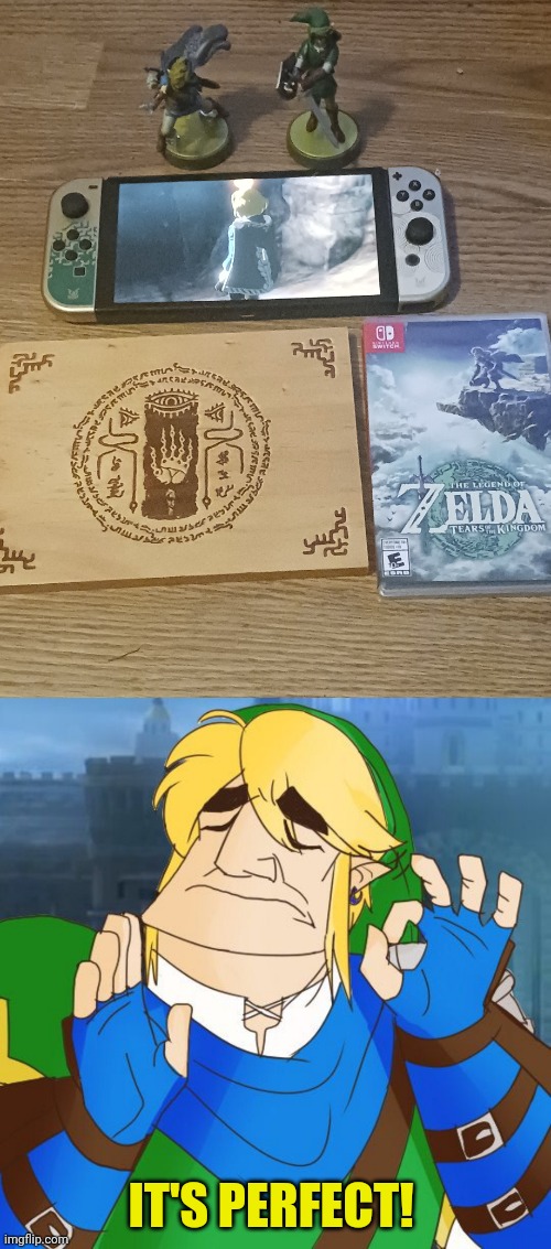 GLAD I WENT TO THE MIDNIGHT PARTY | IT'S PERFECT! | image tagged in the legend of zelda,the legend of zelda breath of the wild,tears of the kingdom,gamestop | made w/ Imgflip meme maker