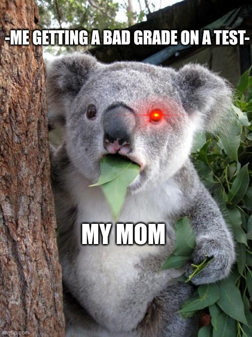 The asian parents especially. | -ME GETTING A BAD GRADE ON A TEST-; MY MOM | image tagged in memes,surprised koala | made w/ Imgflip meme maker