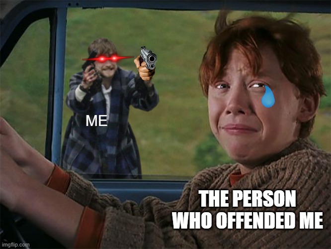hehehe | ME; THE PERSON WHO OFFENDED ME | image tagged in harry with guns scared ron | made w/ Imgflip meme maker