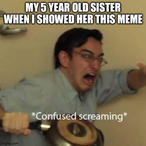 filthy frank confused scream | MY 5 YEAR OLD SISTER WHEN I SHOWED HER THIS MEME | image tagged in filthy frank confused scream | made w/ Imgflip meme maker