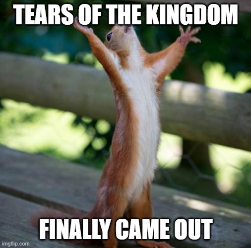 finally | TEARS OF THE KINGDOM; FINALLY CAME OUT | image tagged in the legend of zelda,finally,epic,memes | made w/ Imgflip meme maker