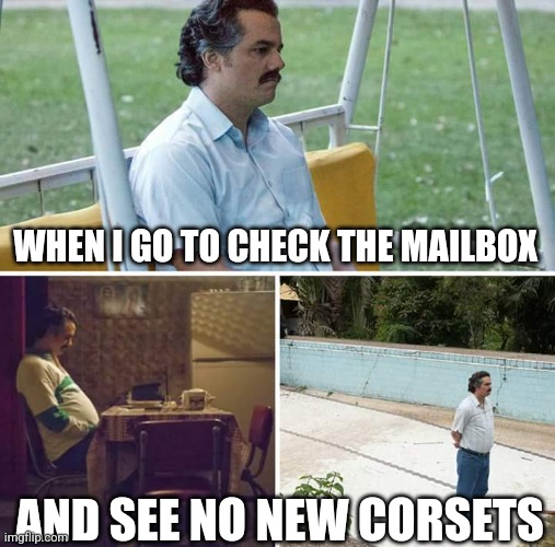 Thanks Damsel in this Dress... | WHEN I GO TO CHECK THE MAILBOX; AND SEE NO NEW CORSETS | image tagged in memes,sad pablo escobar,shopping,corsets | made w/ Imgflip meme maker
