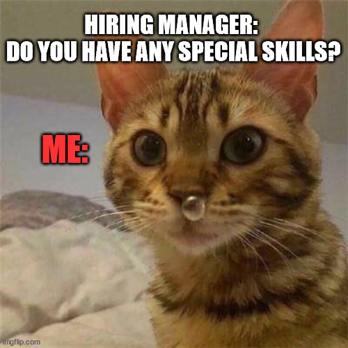 s'not my problem | HIRING MANAGER: 
DO YOU HAVE ANY SPECIAL SKILLS? ME: | image tagged in snot bubble,cat,funny animals,cat snot,job interview | made w/ Imgflip meme maker