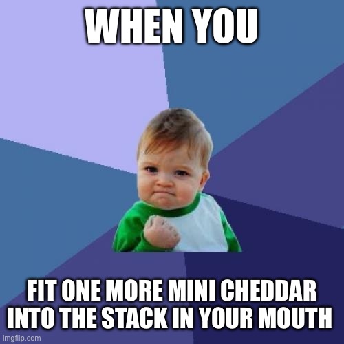 Success Kid | WHEN YOU; FIT ONE MORE MINI CHEDDAR INTO THE STACK IN YOUR MOUTH | image tagged in memes,success kid | made w/ Imgflip meme maker