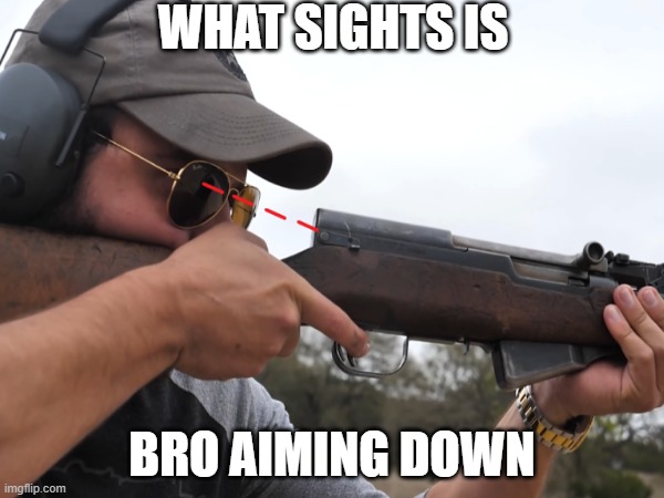 what sights is bro aiming down | WHAT SIGHTS IS; BRO AIMING DOWN | image tagged in guns | made w/ Imgflip meme maker