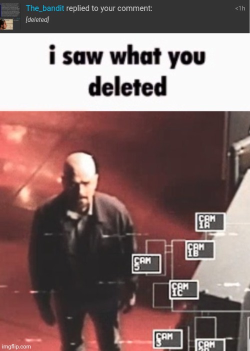 image tagged in i saw what you deleted | made w/ Imgflip meme maker